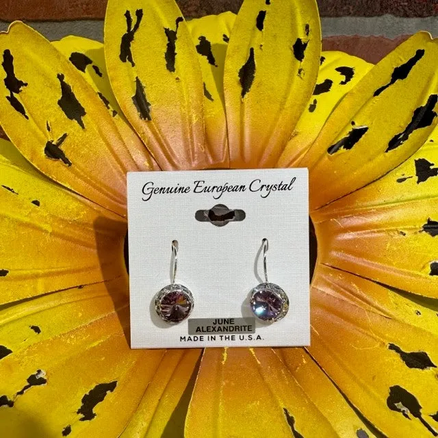 Earrings - Birthstone June