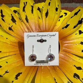 Earrings - Birthstone June